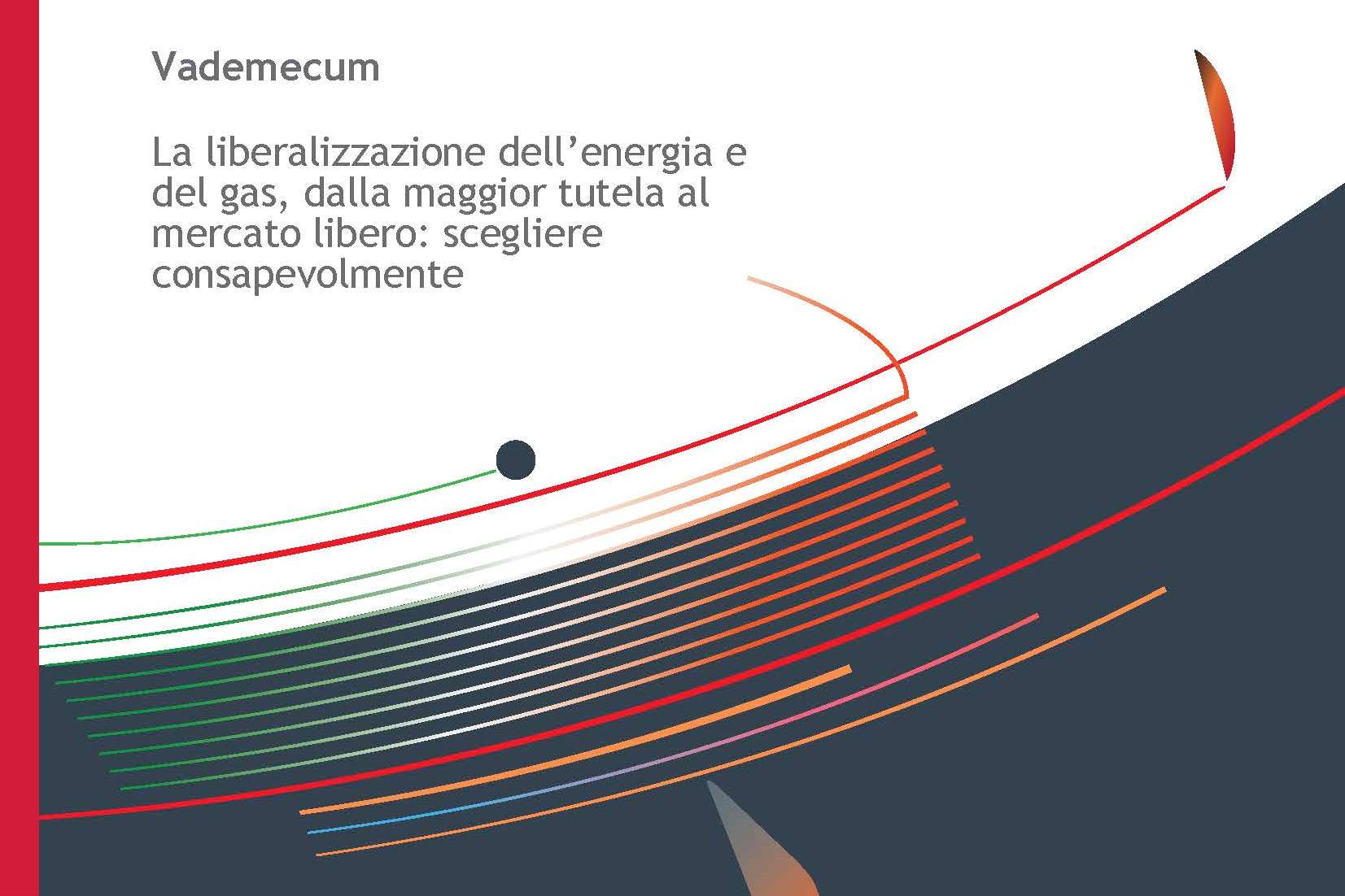 immagine allegata